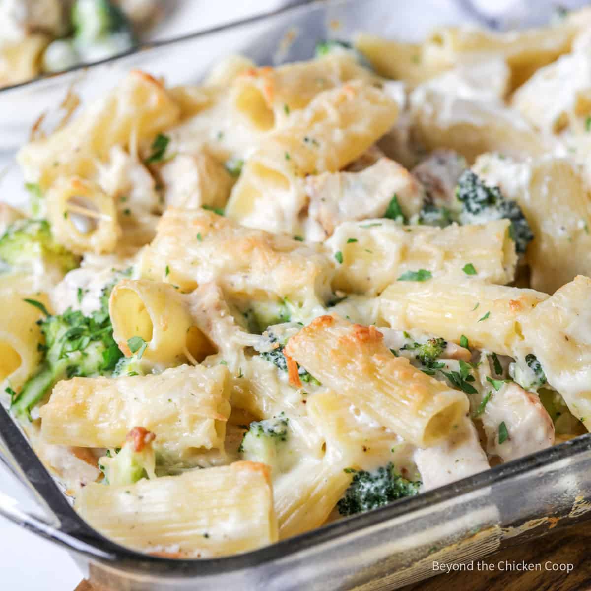 Chicken Broccoli Alfredo Bake Recipe - Comforting Delight!