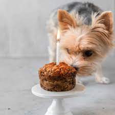 Dog Cake Recipe